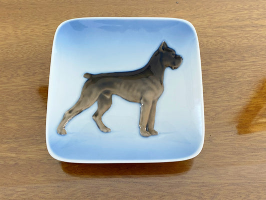 Vintage Royal Copenhagen Porcelain Boxer Dog Trinket/ Pin Plate - Busy Bowerbird