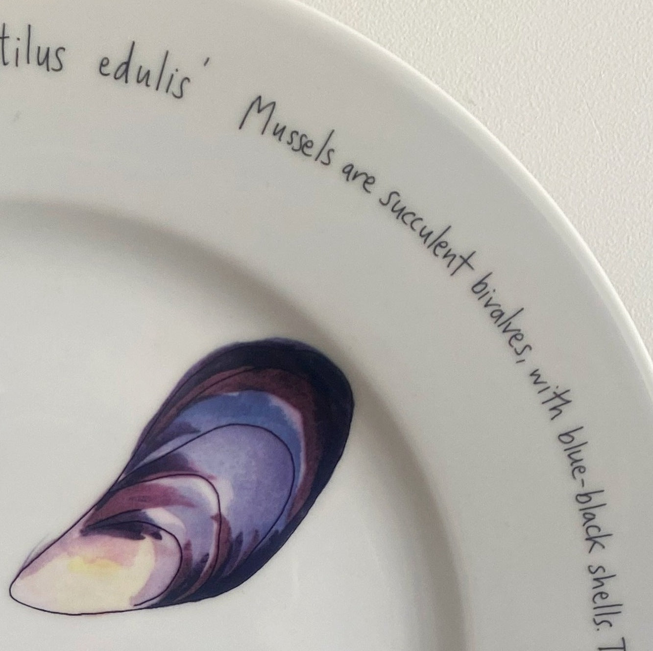 JERSEY POTTERY Seafood Platter | Richard Bramble Mussels Illustration - Busy Bowerbird